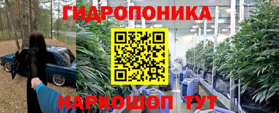 дмт Ставрополь