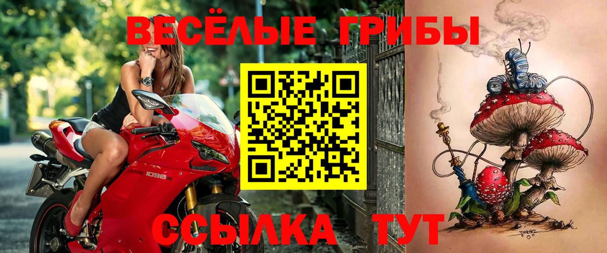 Галлюциногенные грибы мицелий Нальчик